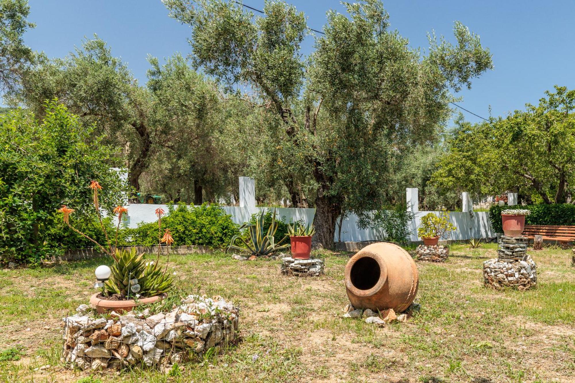 Panagou Studios Skopelos Town Exterior photo